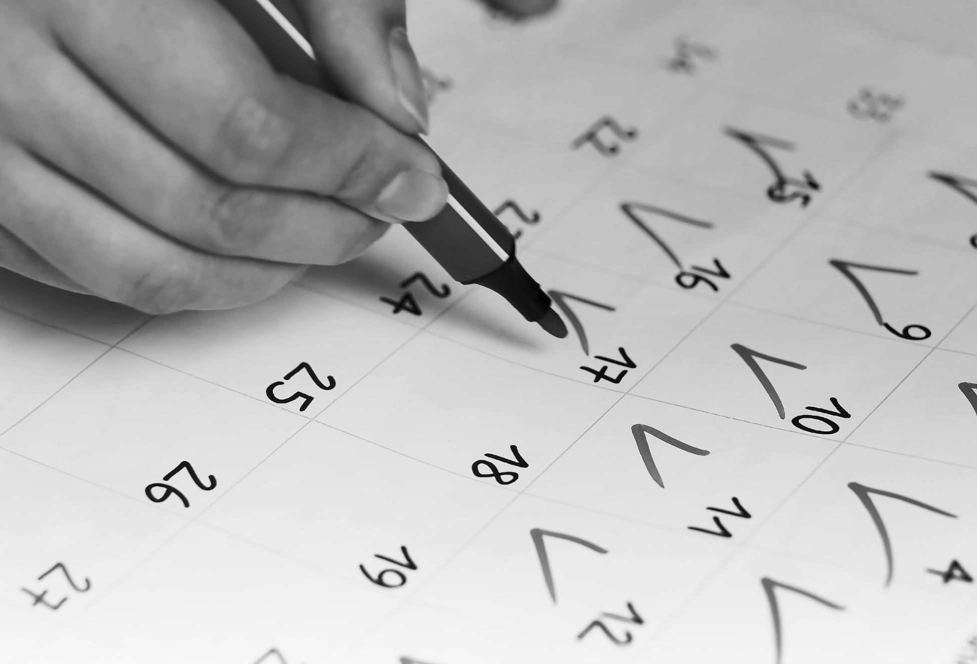 Best CPA Networks That Pay Daily