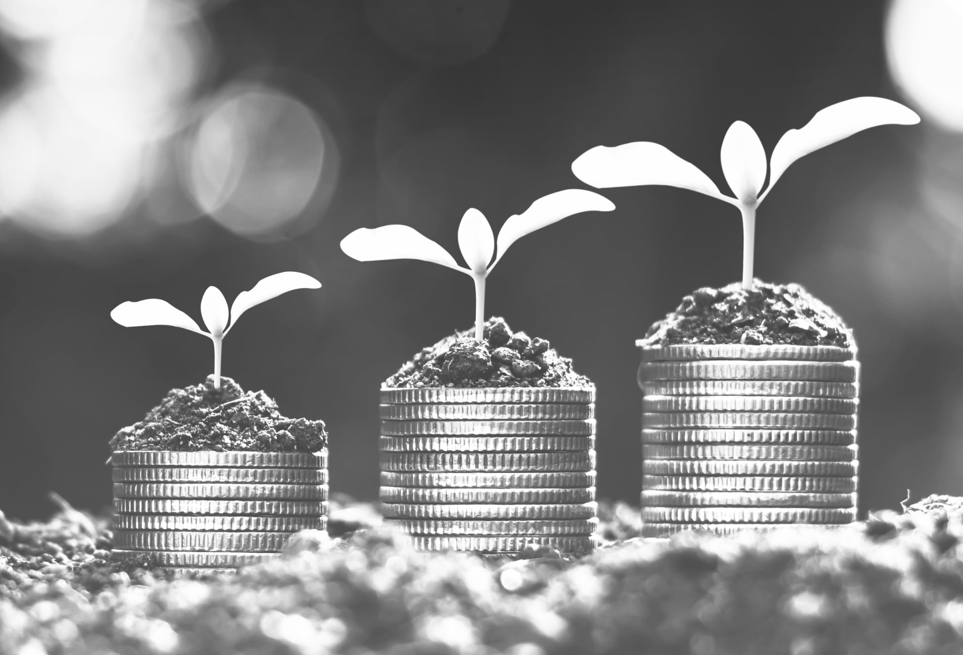 Top 8 Young CPA Networks
