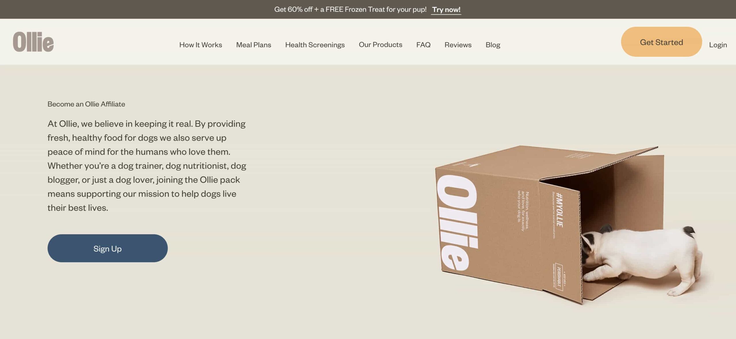 Ollie affiliate program