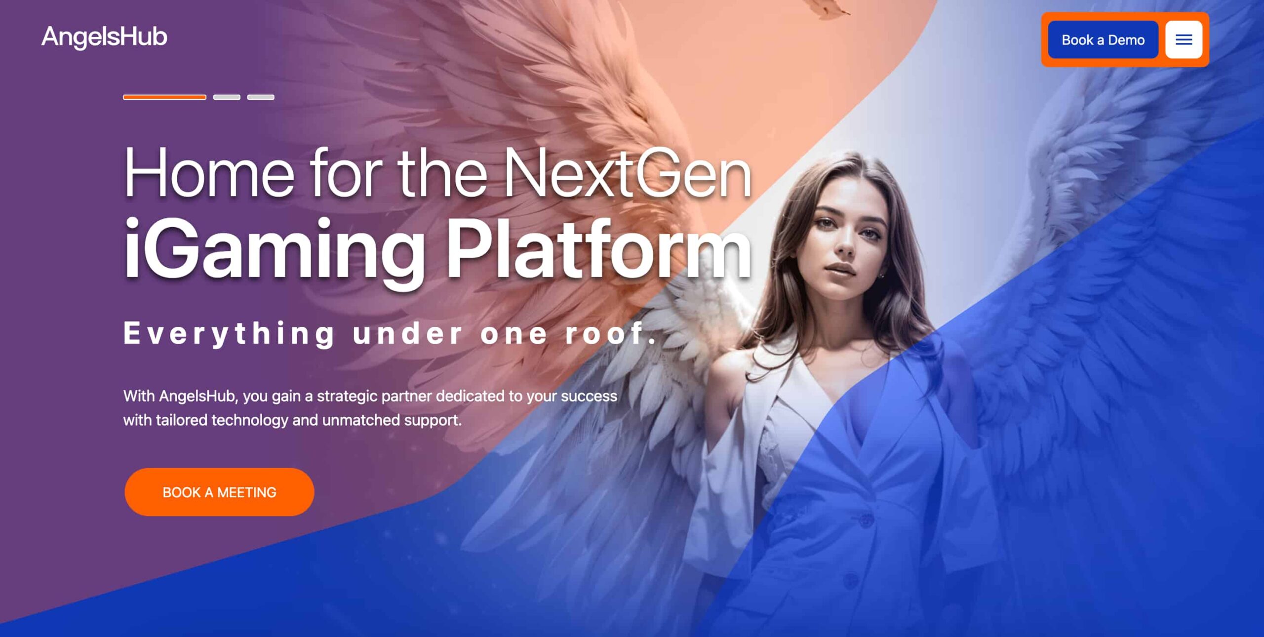 AngelsHub turnkey platform provider