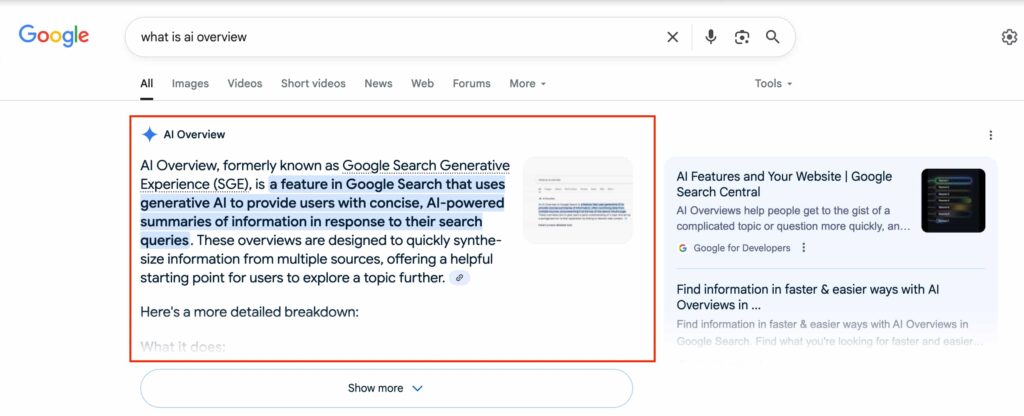 Google AI Search
