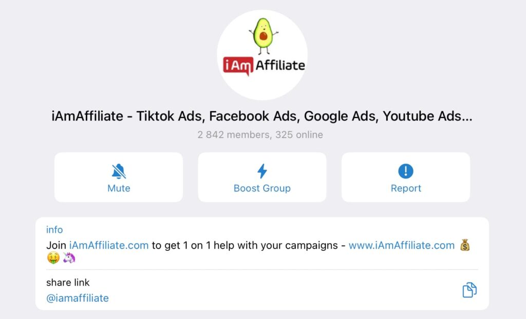 iAmAffiliate Telegram Chat