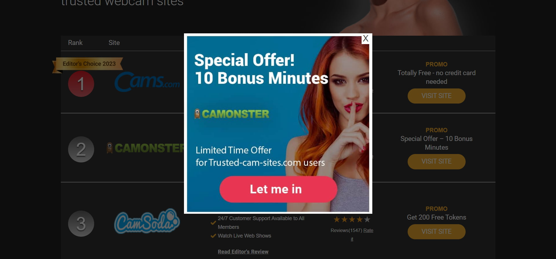 Brazzers Ads Guide Creatives, Traffic & Campaign Tips Affroom